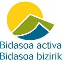 Bidasoa bizirik