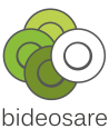 Bideosare