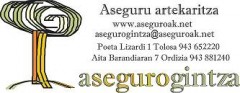 Asegurogintza sl