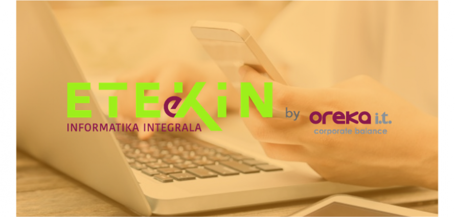 ETEeKIN, enpresa txiki eta ertainentzako informatika zerbitzu integrala