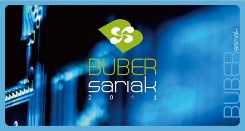 Hogeita hamar web lehian Buber 2013 sarietan, ostegunean Arabako Teknologi Parkean, horien artean www.enpresarean.org